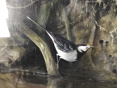 Lot 144 - Mark Luckhurst (contemporary) acrylic on panel, Pied Wagtail on the River Ching