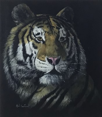 Lot 143 - Mark Luckhurst (contemporary) acrylic - Tiger head study