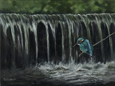 Lot 141 - Mark Luckhurst (contemporary) acrylic - Kingfisher on the river Leigh