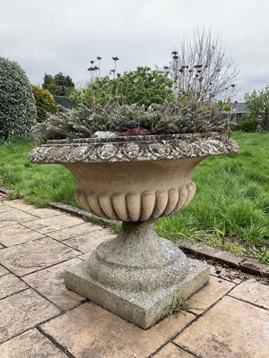 Lot 1552 - Pair of reconstituted stone garden urms of campagna form with egg and dart rim, reeded bowl on socle bases,  high x 72cm diameter