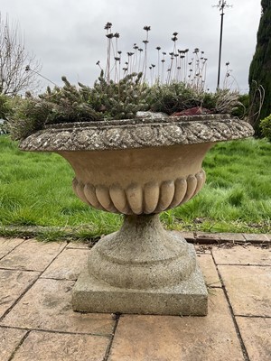 Lot 1552 - Pair of reconstituted stone garden urms of campagna form with egg and dart rim, reeded bowl on socle bases,  high x 72cm diameter
