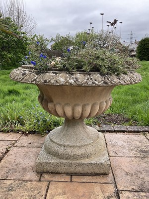 Lot 1552 - Pair of reconstituted stone garden urms of campagna form with egg and dart rim, reeded bowl on socle bases,  high x 72cm diameter