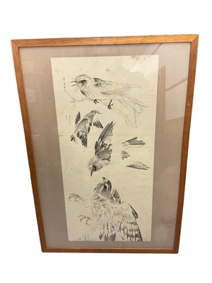 Lot 268 - Attributed to Matsumura Keiben (1779-1843) pen and wash, bird studies