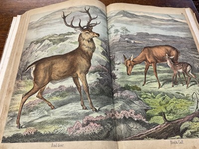 Lot 172 - Victorian book of hand coloured engravings - The Instructive Picture book, together with a series of facsimile early printed maps of India. (2)