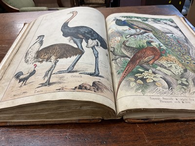 Lot 172 - Victorian book of hand coloured engravings - The Instructive Picture book, together with a series of facsimile early printed maps of India. (2)