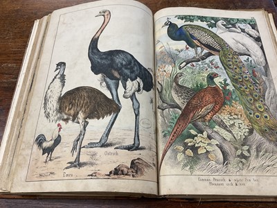 Lot 172 - Victorian book of hand coloured engravings - The Instructive Picture book, together with a series of facsimile early printed maps of India. (2)