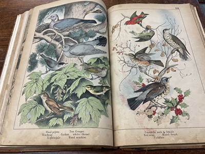 Lot 172 - Victorian book of hand coloured engravings - The Instructive Picture book, together with a series of facsimile early printed maps of India. (2)