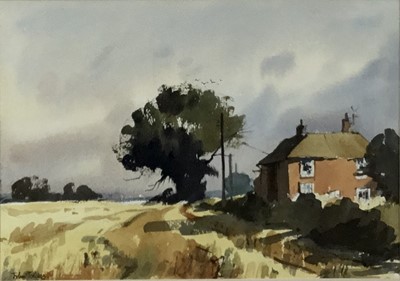 Lot 64 - John Tookey (b. 1947) watercolour, Cottage near Cawston, Norfolk
