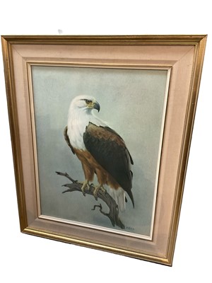 Lot 241 - Charles Clifford Turner, watercolour - Otters and a watercolour of a bald eagle, by Rena