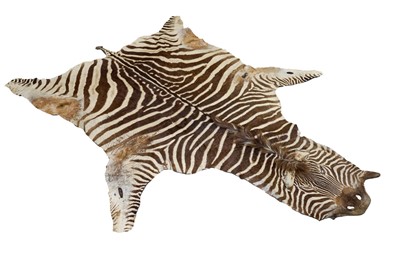 Lot 879 - Antique Zebra skin rug, 256cm long x 190cm wide