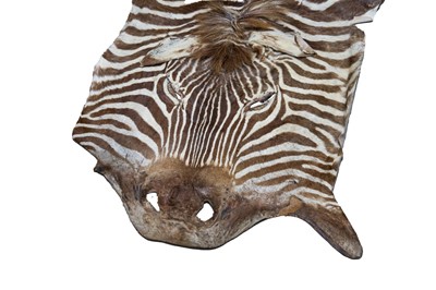 Lot 879 - Antique Zebra skin rug, 256cm long x 190cm wide