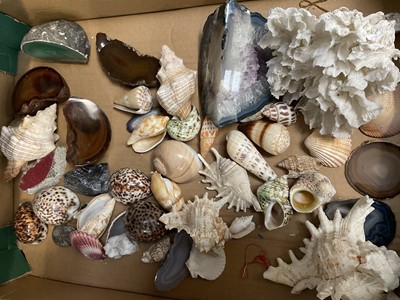 Lot 252 - Collection of shells,, specimen stones and similar