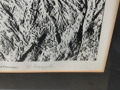 Lot 325 - Fossil - Sid Chaplin poem, illustrated