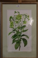 Lot 1189 - *Glyn Morgan (1926 - 2015), watercolour -...
