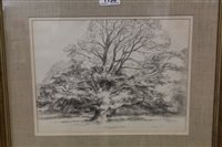 Lot 1196 - *Glyn Morgan (1926 - 2015), pencil - Tree...