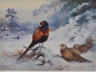 Lot 1044 - Three Archibald Thorburn (1860-1935) limited edition coloured prints - English Partridge and Pheasants, each numbered 115/850, in glazed gilt frames