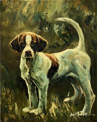 Lot 143 - 20th century, Amos Rose, oil on canvas, Foxhound, signed, 25 x 20cm, unframed