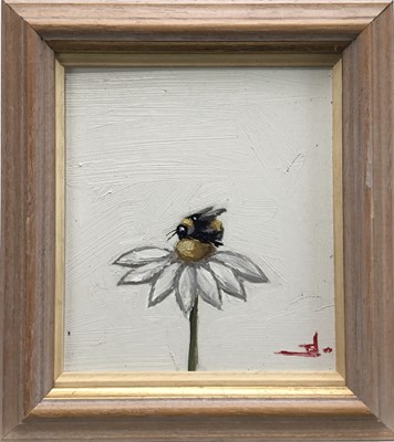 Lot 207 - Vivek Mandalia, oil on board, bumble bee on a daisy, signed with monogram, also certificate verso, in painted frame, 19 x 17cm