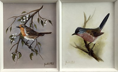 Lot 94 - Jonathan Hall, oils on board, studies of a goldcrest, a Dartford Warbler and a Robin, signed, in white frames, each 25 x 20cm (3)