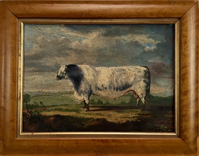 Lot 223 - English School, oil on panel, naïve of a bull in a landscape, in maple frame, 29 x 39cm