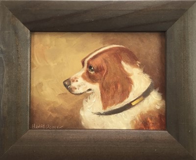 Lot 151 - Henry Percy, oil on board of a spaniel, signed, in gilt frame, 14 x 19cm