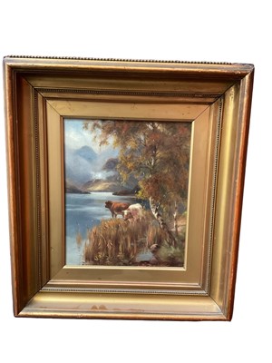 Lot 296 - Early 20th century oil on canvas, Highland cattle