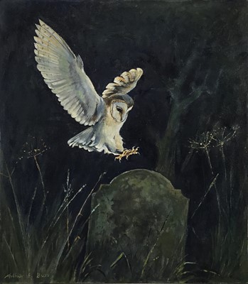 Lot 633 - Arthur E Buss, oil on artists board - Barn Owl in graveyard, signed, 41cm x 36cm, framed (without glass)