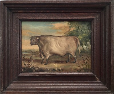 Lot 205 - English school oil on panel - A Prize Bull, 21cm x 27cm, framed