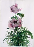 Lot 1129 - *Glyn Morgan (1926 - 2015), watercolour -...