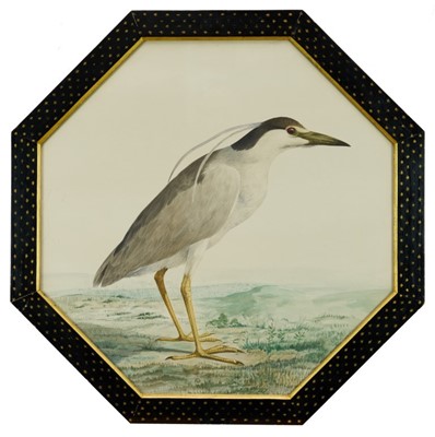 Lot 947 - Pair of 19th century Company School type watercolours depicting birds, monogrammed with a G, octagonal 52cm, in gilt and ebonised painted octagonal frames