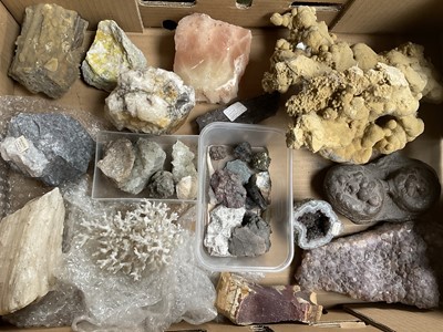 Lot A collection of geological specimens and minerals