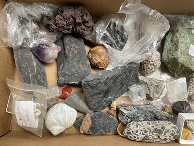 Lot Collection of fossils and minerals