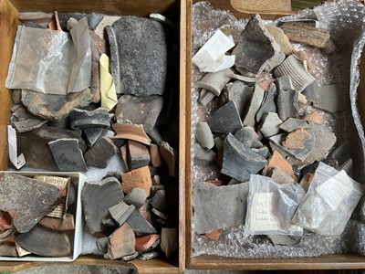 Lot Collection of antiquities, pottery shards, worked flints etc and various natural history
