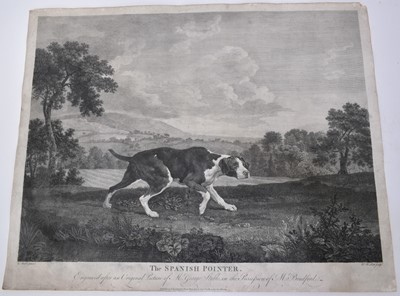 Lot 1032 - The Spanish Pointer, black and white stipple on laid paper, engraving by W Woolett after G. Stubbs, published by T Bradford No 132 Fleet Street, Jan 1st 1768, 44.5cm x 56cm