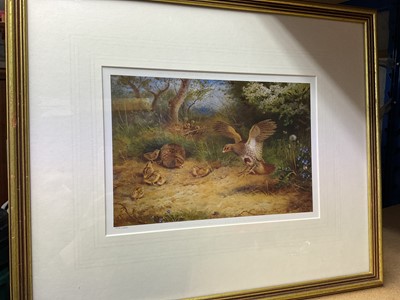 Lot 642 - Set of four framed Archibald Thorburn prints, published by William Marler in editions of 1000 each