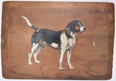 Lot 1034 - Imogen Muntz, early 20th century, oil on panel - Portrait of a Hound, unframed, 25cm x 35.5cm