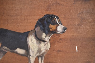 Lot 1034 - Imogen Muntz, early 20th century, oil on panel - Portrait of a Hound, unframed, 25cm x 35.5cm