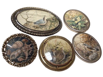 Lot 233 - Group of five brooches each containing a finely painted miniature by Richard M Mather, depicting birds, shells and flowers, one in a Victorian gold mount