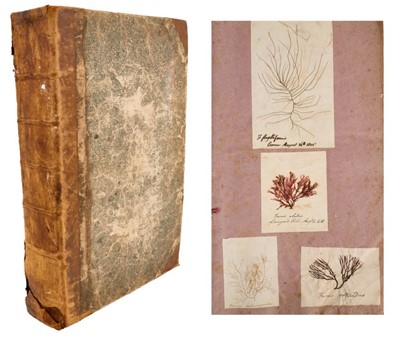 Lot 756 - Herbarium collection of pressed botanical specimens circa 1830s