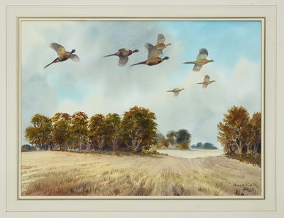 Lot 1038 - *Robert W Milliken (1920-2014) watercolour - Pheasants in Flight, signed, 36.5cm x 50cm, in glazed gilt frame