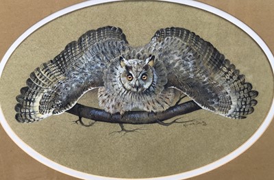 Lot 262 - Kenneth Smith (contemporary) watercolour -  Owl, signed and dated 1989, 29cm x 43cm, in oval mount and glazed frame