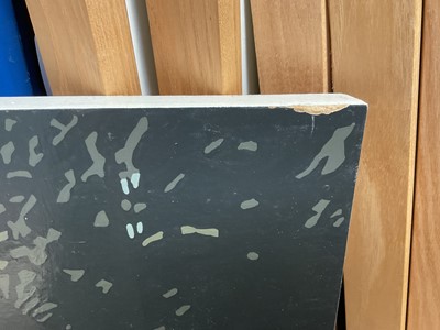 Lot 38 - Alicia Dubnyckyj, pair of gloss paintings