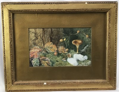 Lot 9 - Victorian English School watercolour - Still Life Mossy Bank, in glazed gilt frame