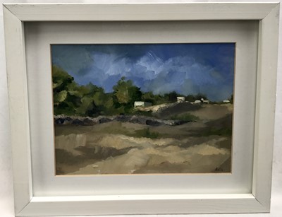 Lot 132 - Ania Hobson (b.1990), oil on board - Summer Landscape, signed, an early work, 15cm x 19.5cm, in glazed frame