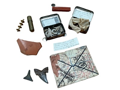 Lot 2598 - Interesting 19th century mahogany box of curious to include Fosillised sharks teeth, piece of Roman pottery from bath and envelope which had been sent a round the world, most pieces with ink labels.