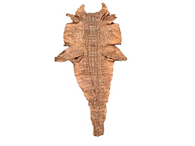 Lot 2627 - Crocodile skin, approximately 160cm in overall length.