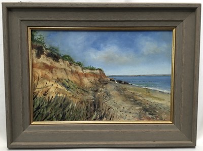 Lot 71 - Dave Ross, contemporary, oil on board - Mersea Shoreline, signed, 19cm x 29cm, framed