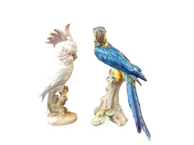 Lot 1259 - Group of 8 porcelain model birds and parrots, various manufacturers including Karl Ens, Royal Dux, Meissen and Beswick (some damaged)