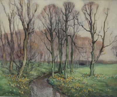 Lot 1073 - William Hoggatt R.I. (1880-1961) pair of watercolours - 'The Crocus Wood, Derbyhaven' and 'February Snowdrops', signed, 45.5cm x 54cm, in glazed frames