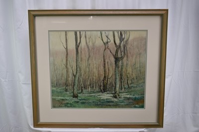 Lot 1073 - William Hoggatt R.I. (1880-1961) pair of watercolours - 'The Crocus Wood, Derbyhaven' and 'February Snowdrops', signed, 45.5cm x 54cm, in glazed frames